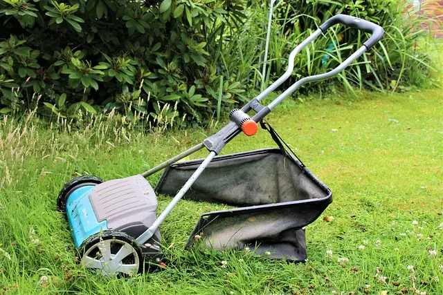 Odmień swoje trawniki przy użyciu kosiarki spalinowej, dbając o jej przyszłość