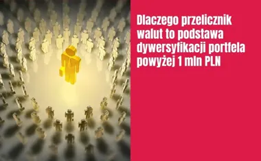 Obraz do artykułu: Dlaczego przelicznik walut to podstawa dywersyfikacji portfela powyżej 1 mln PLN