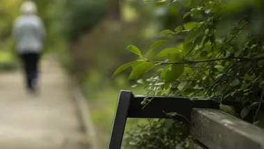 Ławki dostaną drugie życie, a ogród otworzy się na mieszkańców Gniezna