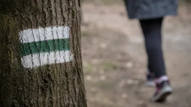 Mieszkańcy mogą wskazać ważne miejsca w lasach wokół Poznania