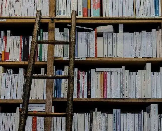W Filii nr 2 wakacje czytają się same - biblioteka stawia na energię 📚