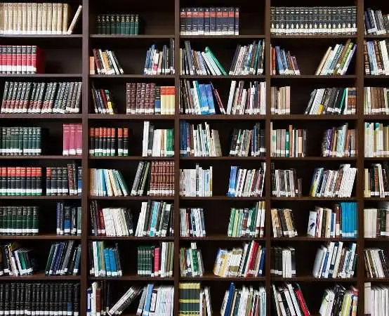 Gniezno - biblioteka świętowała Dzień kota z przedszkolakami i kotką Lola