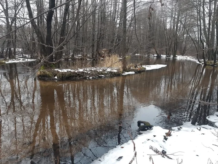 Grafika promocyjna wydarzenia Łowcy Bobrów vol.3 — bieg, błoto i ognisko w Kalinie