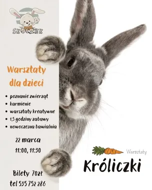Grafika promocyjna wydarzenia Warsztaty z króliczkami w Skoczku — spotkanie dla najmłodszych