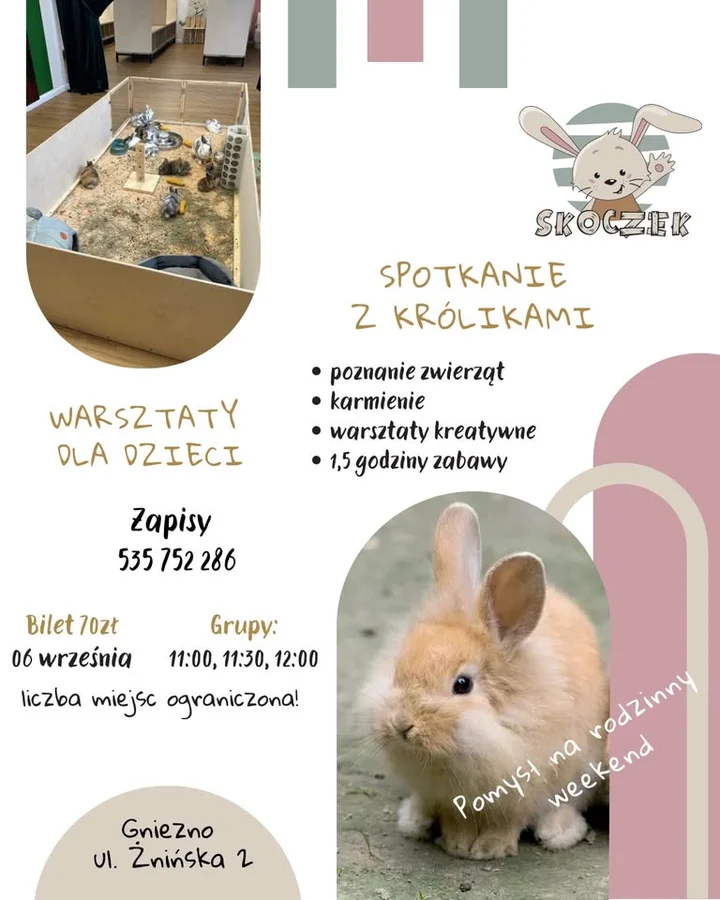 Obrazek przedstawia grafikę promocyjną wydarzenia Rodzinne warsztaty z króliczkami w Gnieźnie