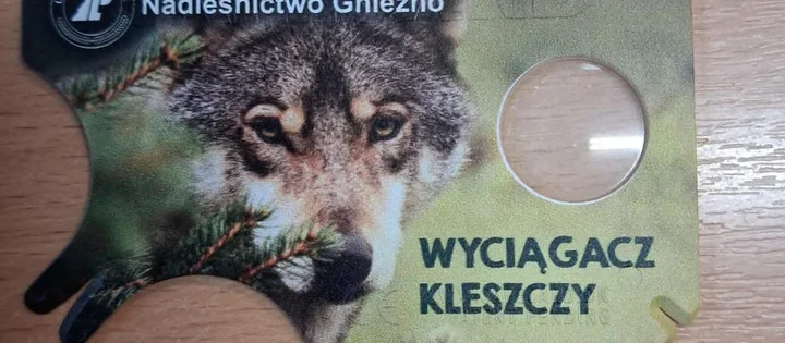 Leśna lekcja bez wychodzenia z biblioteki - tak zaskoczył Apetyt na książkę