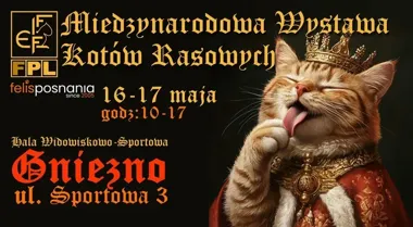 Setki kotów rasowych w Gnieźnie. Wystawa przyciągnie hodowców i rodziny