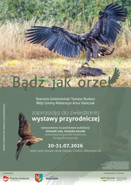Orły na fotografiach Krzysztofa Chomicza trafiły do Mieleszyna