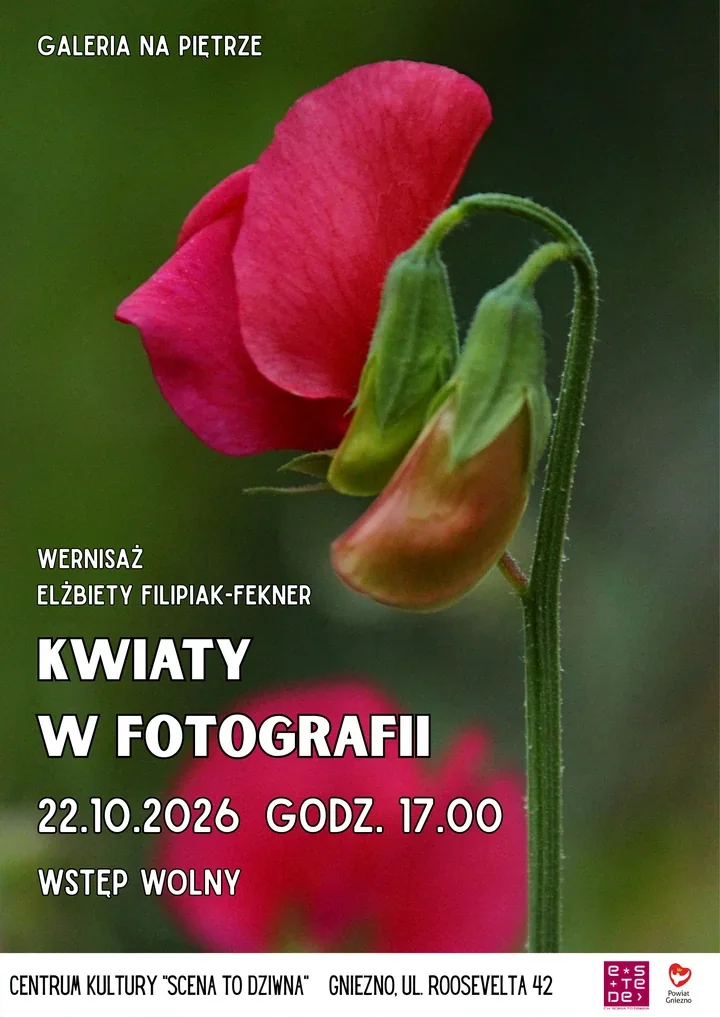 Kwiaty wychodzą z ogrodu do galerii. Elżbieta Filipiak-Fekner pokaże Gniezno z bliska